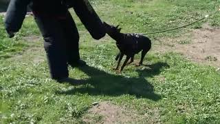 First Costume Training Mera Verita Vom Hev