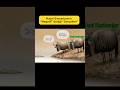 Hayal Simsarlarının Negatif dediği Gerçekler - #networkmarketingscam #mlm #antimlm