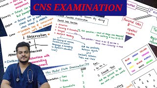 CNS EXAMINATION | Part-1| Higher Mental Function Assessment