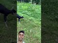 बाहुबली#funny #realfools#surajroxfunnyvibeo#vikramcomedyvideo#bahubali2