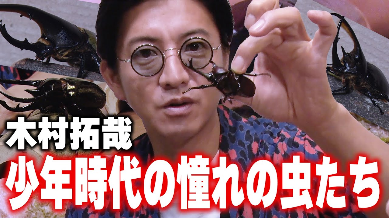 【過去回】夏だ！自由研究だ！拓哉少年あこがれの「カブトムシ」大集合！