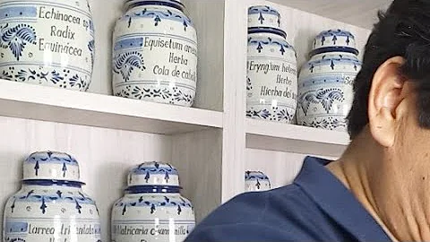 Alfonso Campos