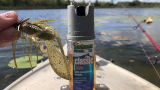 Does Baitmate Help Catch Fish? 