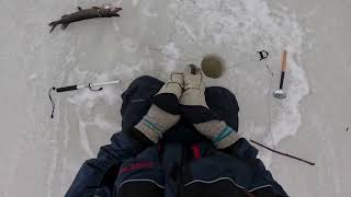 Frozen Lake Fishing in Finland, Filipino-Finnish Couple's Lucky Catch! Fishing in COLD conditions.