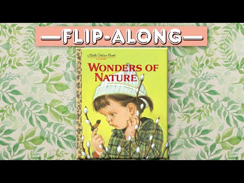 Wonders of Nature