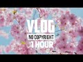 Ikson  spring vlog no copyright music  1 hour