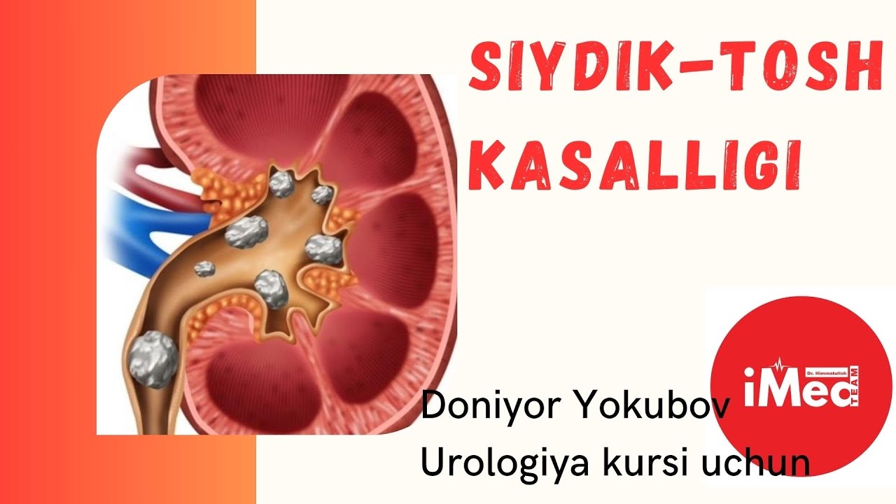 Otkir kokrak fotosurati