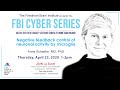 FBI Cyber Series - Negative feedback control of neuronal activity by microglia by Dr. Anne Schaefer