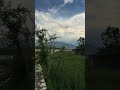 #nature 🌿🍃#trending 🔥🔥