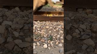 lemon vs train #expaiment #train #trending #viral #viralshort