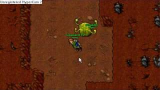 GdanskiOTS Beholder Quest