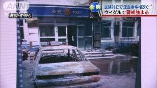 新疆ウイグルで連日の暴動　治安当局が警戒強める（13/06/29）