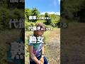 必見！サボってないから！代掻き助っ人やってみた結果【Hound Dog Elvis Presley】#dancemusic #oldies