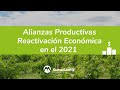 👨‍🌾🌱 AgroIndustria | Alianzas Productivas, Oportunidad para la reactivación Económica 💰