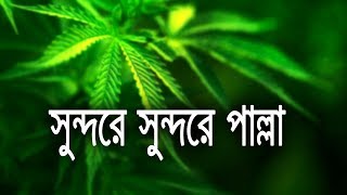 bangla islamic song new | দুনিয়া সুন্দর মানুষ সুন্দর | Soft slow motion Hamd screenshot 5
