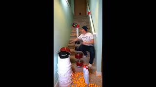 Pan pong Trickshot Time!