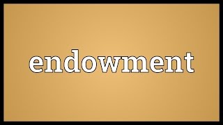 Endowment Meaning