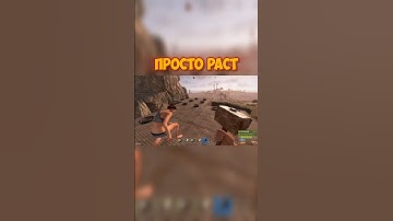 Он понял #rust