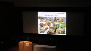 NDMP Forum and The Dormouse Monitor: an overview, Nida Al-Fulaij, Dormouse Monitoring 2013
