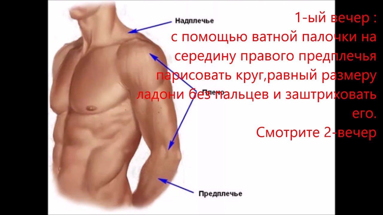 Фото плеча и предплечья