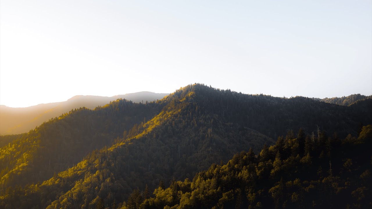 Moments in the Smokies