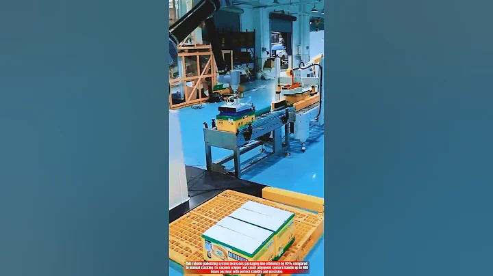 New Innovation Robotic Palletizing System for 900 Boxes per Hour Efficiency