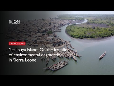 Yealibuya Island: On the frontline of environmental degradation in Sierra Leone