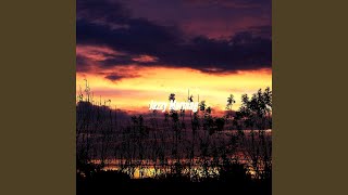 Vivacious Ambiance for Calm Flow