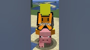 Interesting Facts In Minecraft!