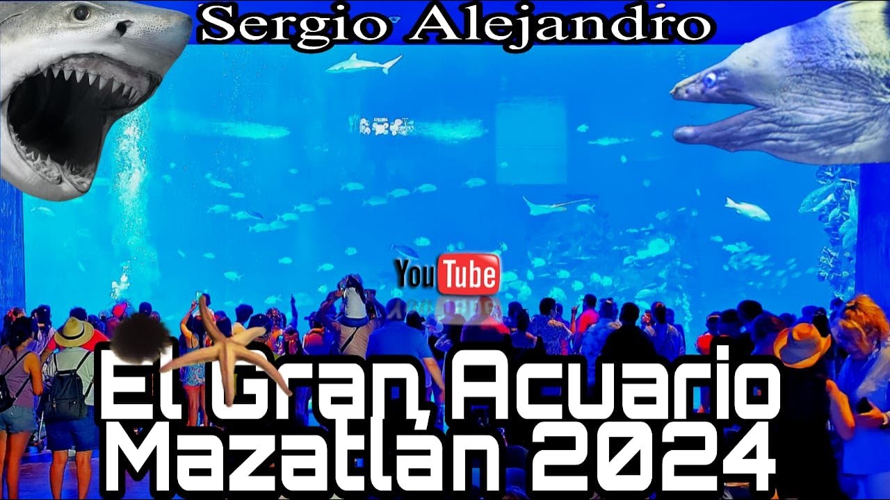 El Acuario Mas Grande de Latinoamerica El Gran Acuario Mazatlan Sinaloa ...