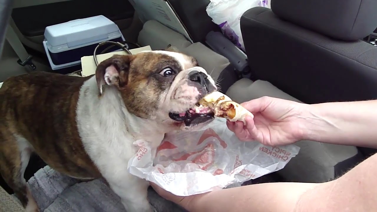 taco bell happy hour time taco bell happy hour time