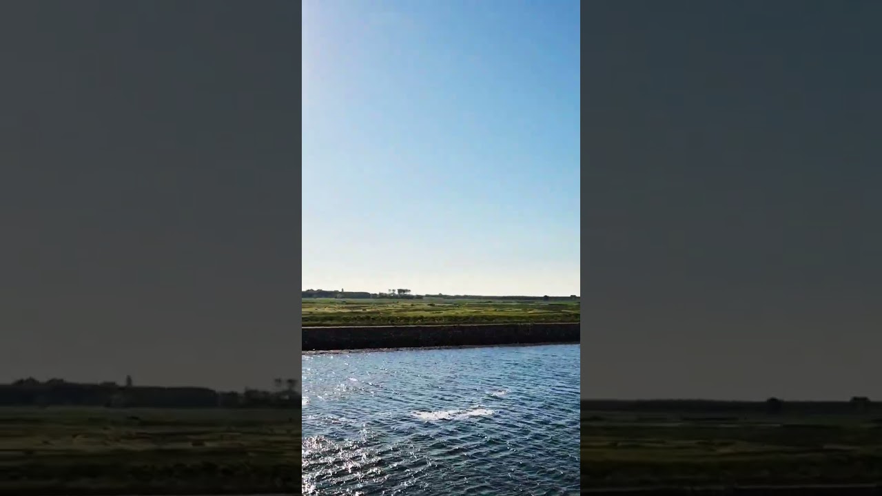 Best of Inland-Shipping 😁 Love the Netherlands 🇳🇱                            