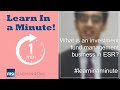 What is a investment Fund Management Business as per ESR | Learn in a minute | Relevant Activity