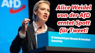 Twitter Blamage für Alice Weidel: Wut über alten Artikel! 😁 😆 😅 😂 🤣