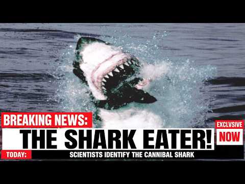 Scientists Finally Exposed the Predator That Swallowed a Great White Shark Whole
