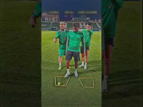 ارسل له اي شئ في العالم و سيروضه كرة القدم الجزائر رياض محرز  اشترك في القناة