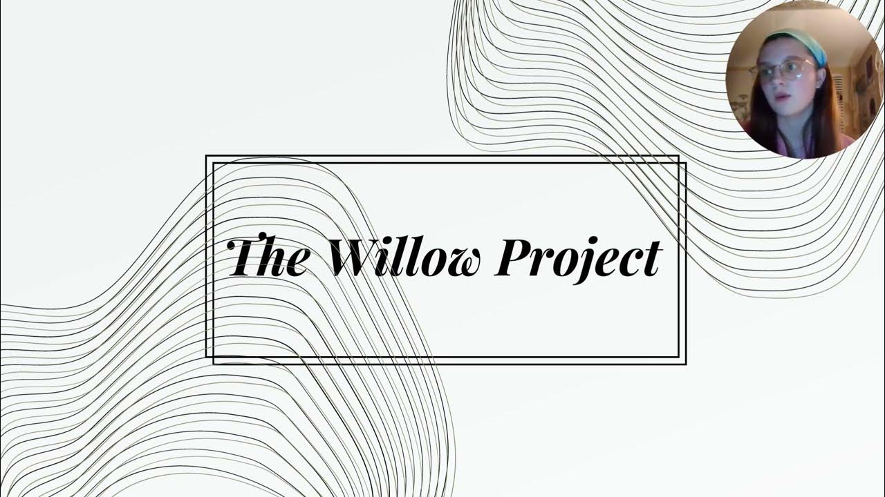 The Willow Project Damaging effects & the solutions YouTube
