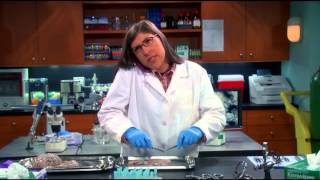 Amy farrah Folwer as Sheldon'd emergency contact