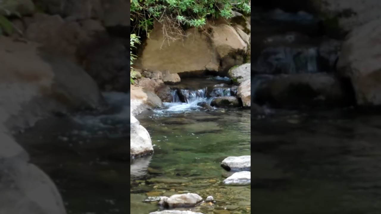 Feliz y Salvaje Cumpleaños V2, en breve también disponible pl4taformas 