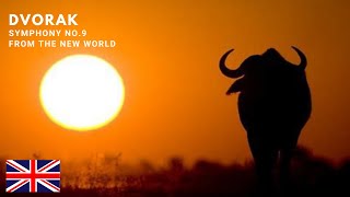 TUTORIAL 1st violin HOW TO PLAY Dvorak 9 New World Symphony