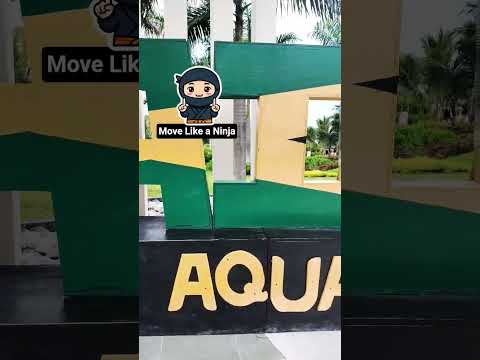 Rindu yang menyiksa, saat bayangan jadi teman bicara