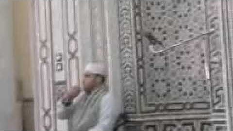 الشيخ ياسر الكفراوي وما تيسر من سورة الإسراء ( قرآن الجمعة ) 24/11/2017