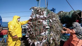 Unbelievable So Many Big Fish Caught in The Sea - Catch Hundreds Of Tons Fish on The Big Boats #02