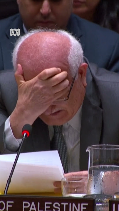 Palestinian UN envoy in tears over deaths of Gazan children | ABC NEWS