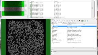 Bruker microCT tutorial: Some new features of CTAn in 2011