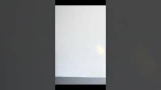 Lingerie Patchwork Garters Exotic Sets High Quality Y Lingerie Underwear Valentines Day Lingerie