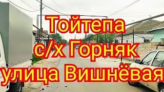 картинка: Тойтепа совхоз Горняк улица Вишнёвая