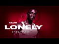 AKON - LONELY - VERSÃO BREGA FUNK ( Dj Lucas Beat  )