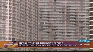 Hawaii hotel report looks down in numbers