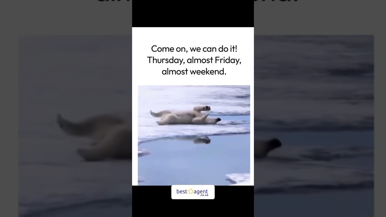 Don't forget to load your new sold listings to keep your rankings or to rank higher ⭐️